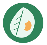 Calivora app icon