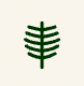 Yew Ventures AG app icon