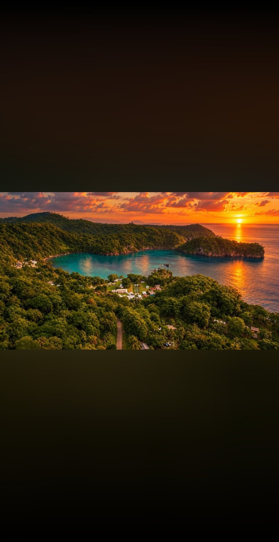 Banner von Nikki-Pakoro-678